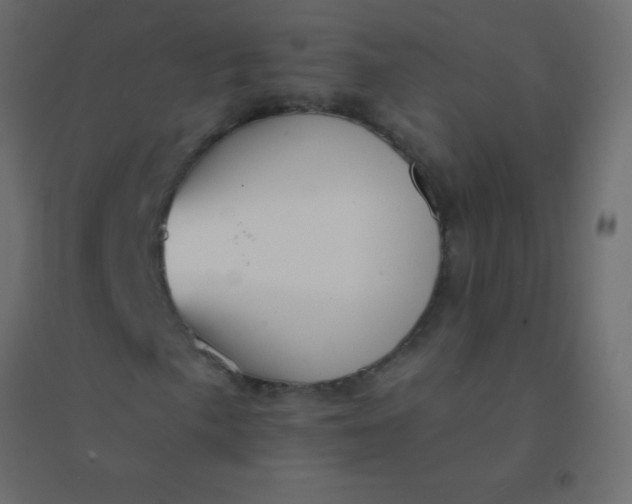 X0000094921057200712131510