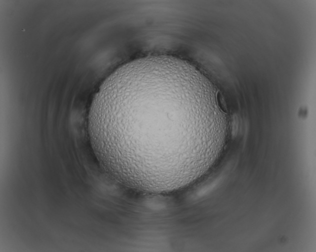 X0000094921059200712131510