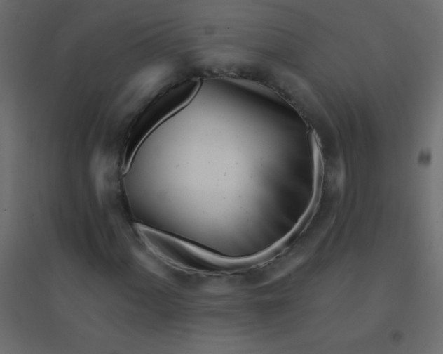 X0000094921060200712131510