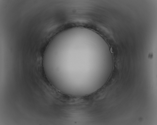 X0000094921061200712131510