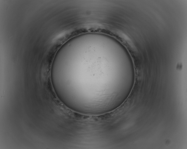 X0000094921063200712131510