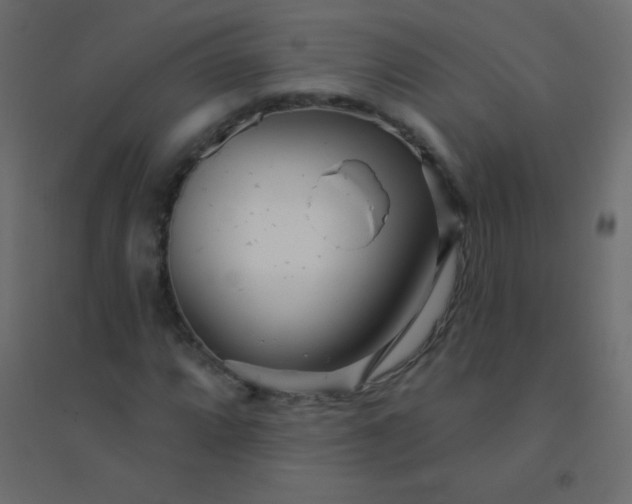 X0000094921064200712131510