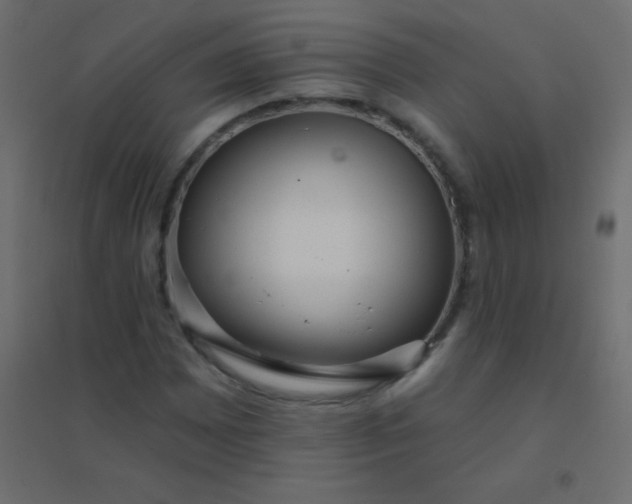 X0000094921065200712131510