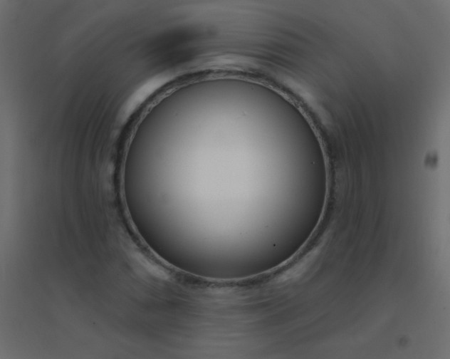 X0000094921066200712131510