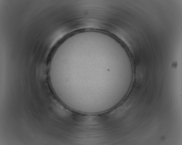 X0000094921067200712131510