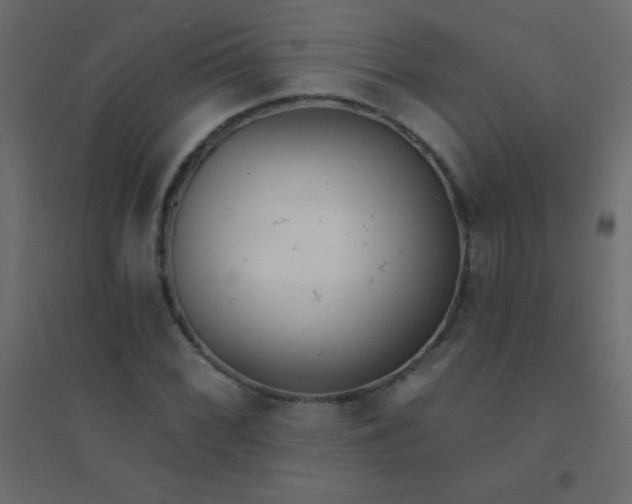 X0000094921068200712131510