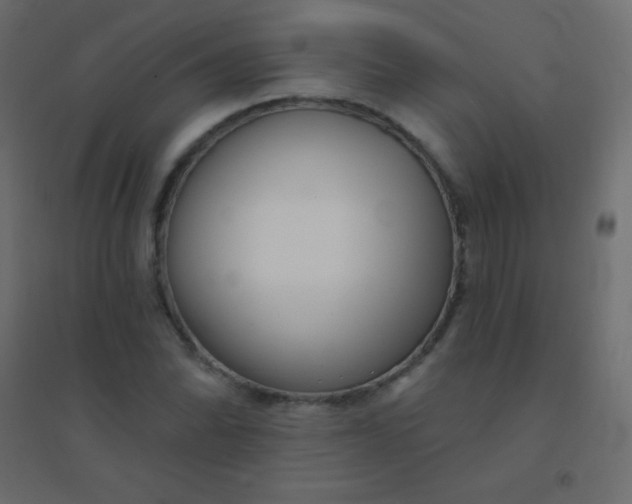 X0000094921070200712131509