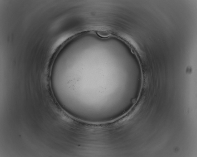 X0000094921071200712131509