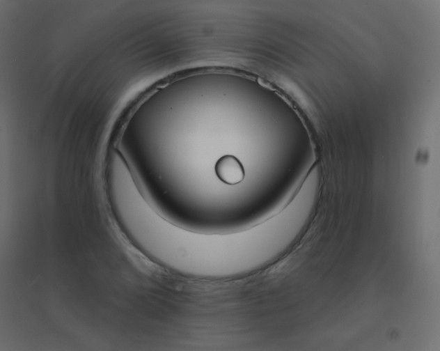 X0000094921072200712131509