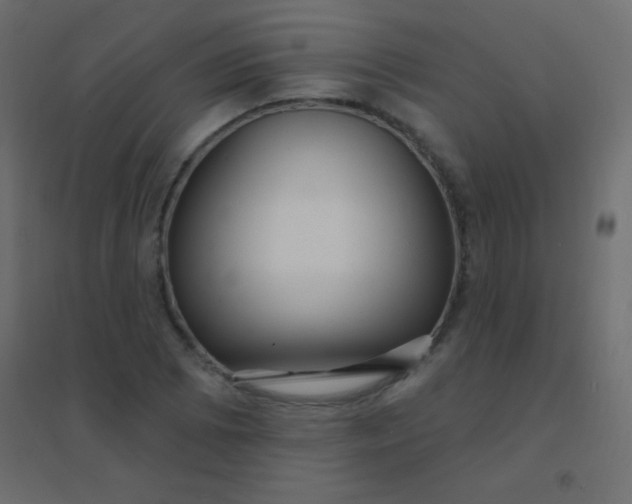 X0000094921073200712131509