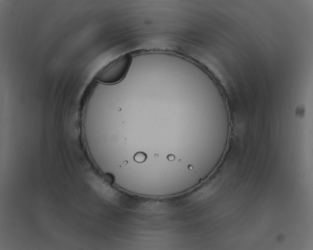 X0000094921075200712131509