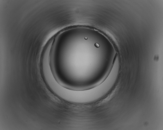 X0000094921077200712131509