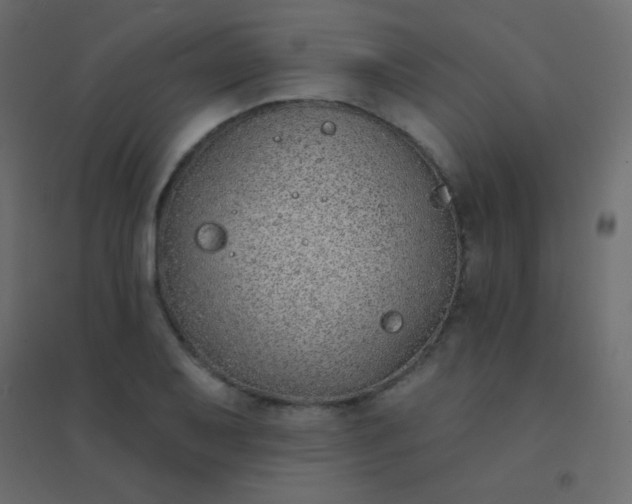 X0000094921079200712131509