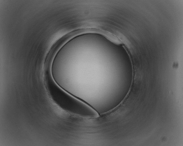 X0000094921080200712131509