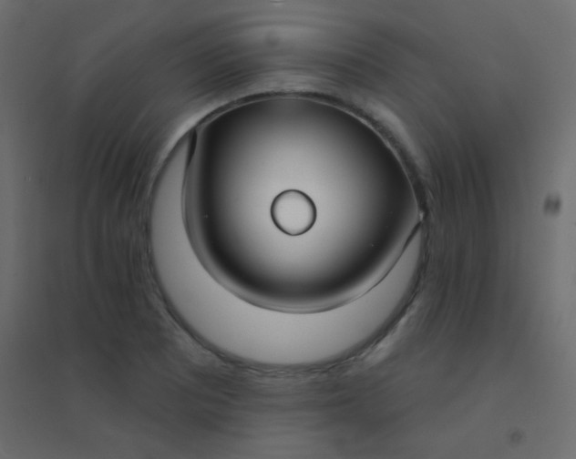 X0000094921081200712131509