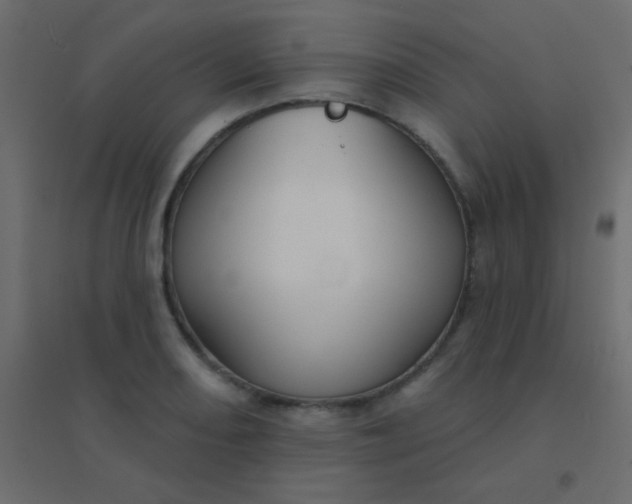 X0000094921082200712131509