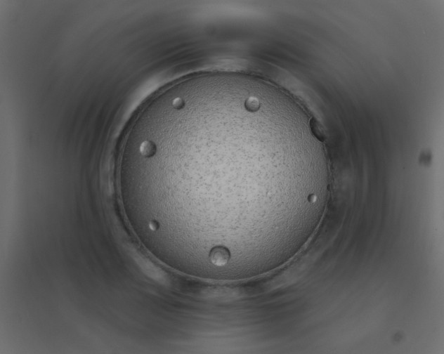 X0000094921083200712131509