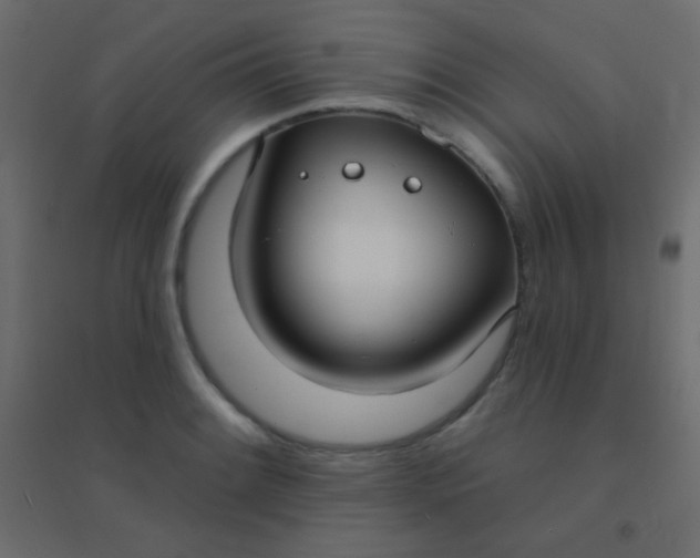 X0000094921084200712131509