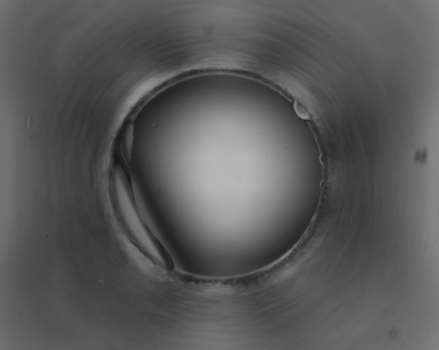 X0000094921085200712131509