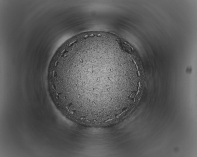 X0000094921087200712131509