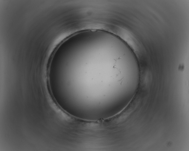 X0000094921088200712131509