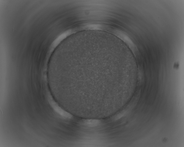 X0000094921090200712131509