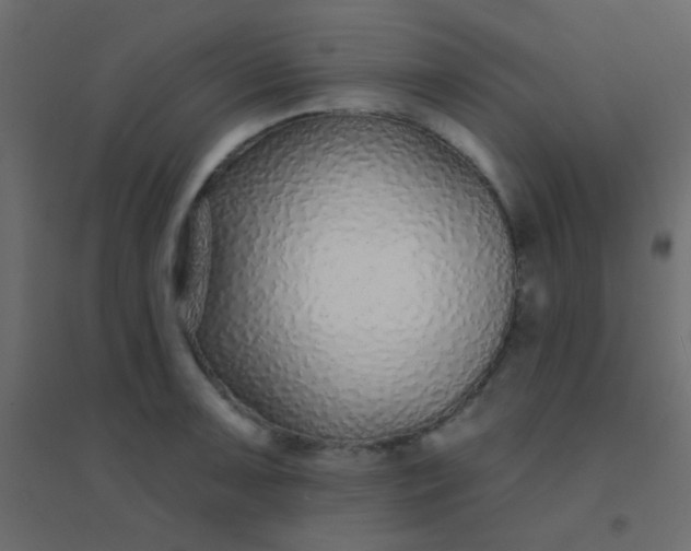 X0000094921091200712131509