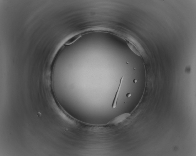 X0000094921092200712131509