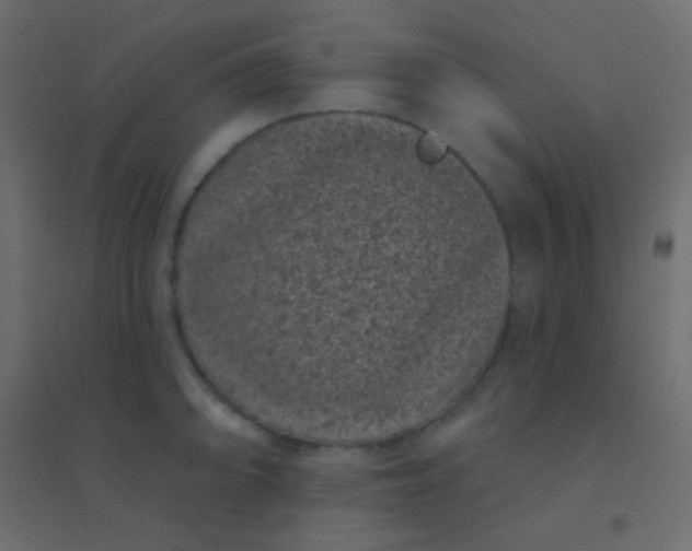 X0000094921094200712131509