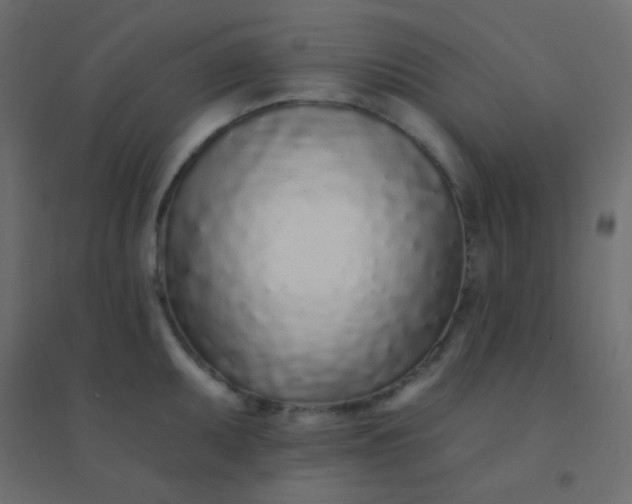 X0000094921095200712131509