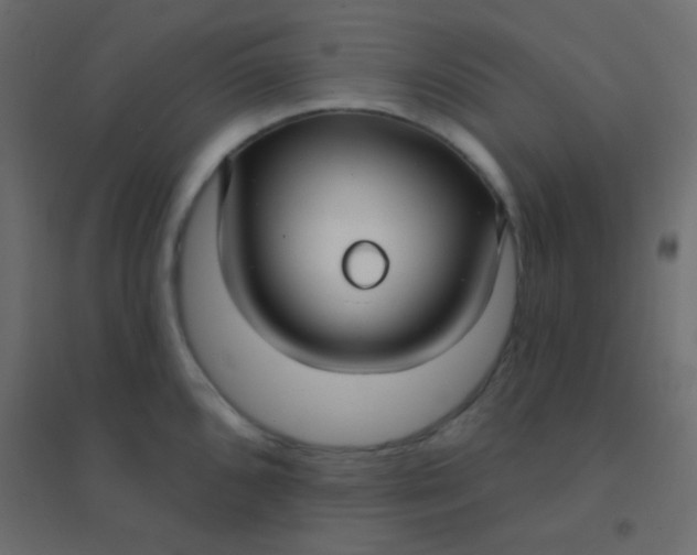 X0000094921096200712131509