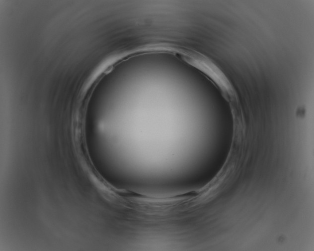 X0000094921101200712131509