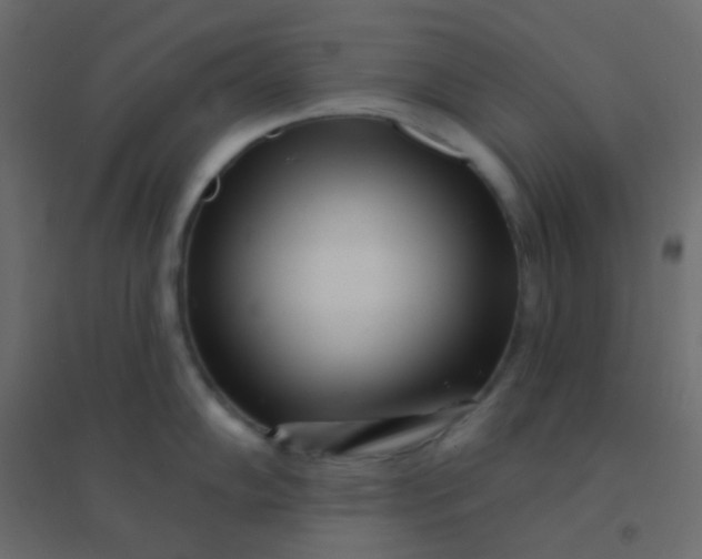 X0000094921102200712131509