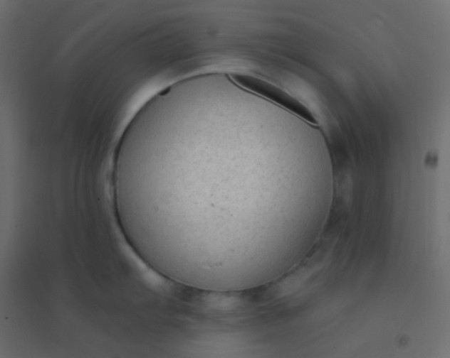 X0000094921103200712131509