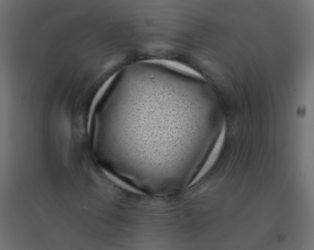 X0000094921106200712131508