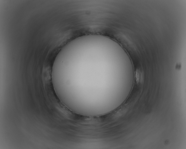 X0000094921107200712131508