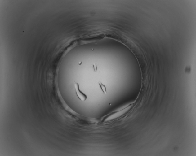 X0000094921108200712131508