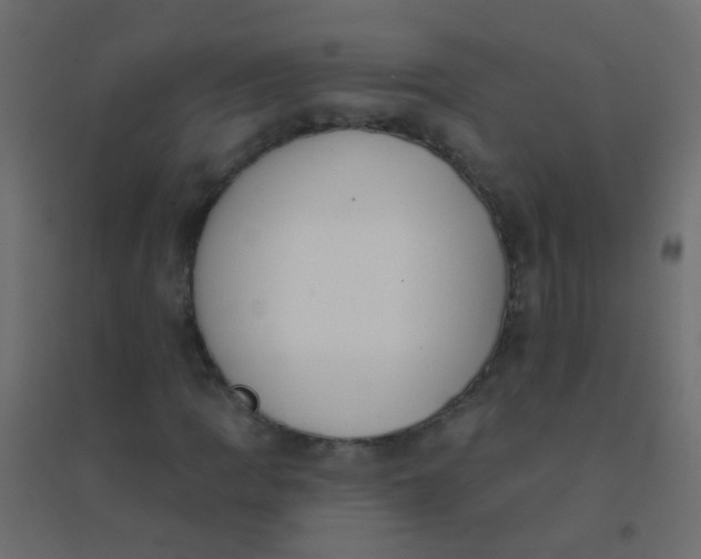 X0000094921109200712131508