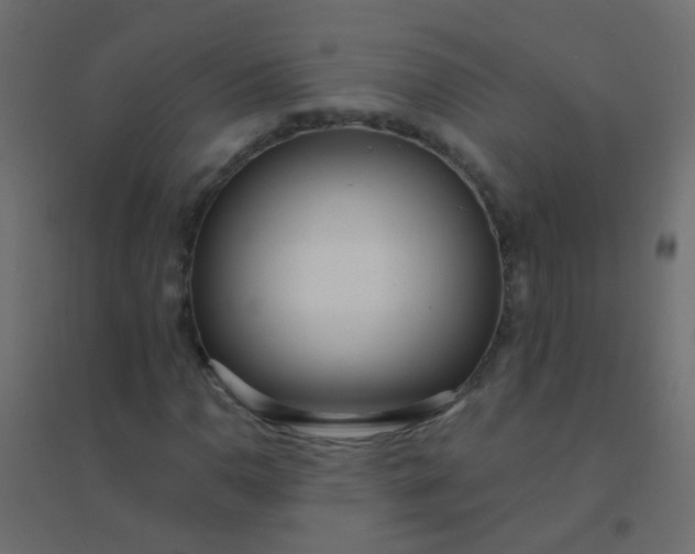 X0000094921110200712131508