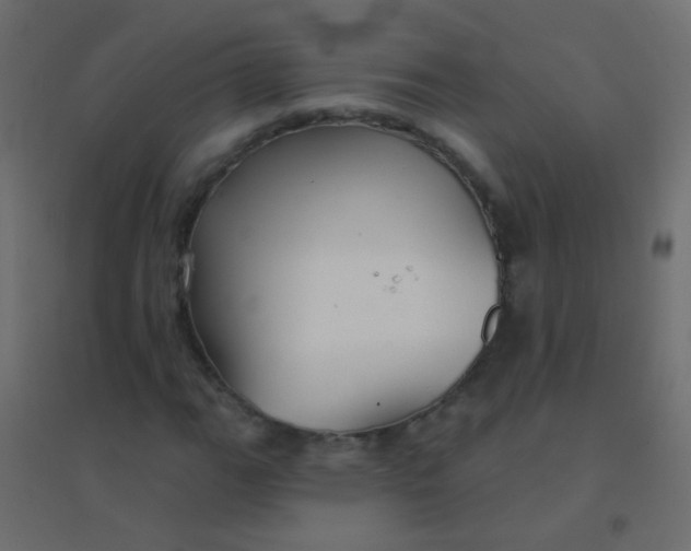 X0000094921111200712131508