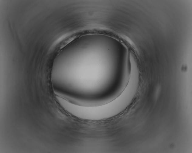 X0000094921112200712131508