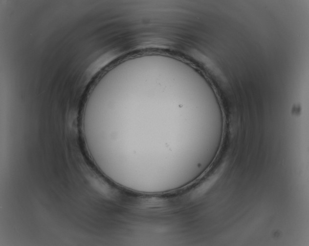 X0000094921113200712131508