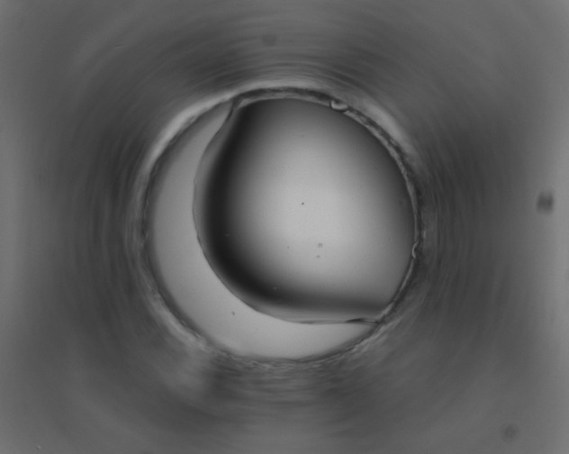 X0000094921116200712131508