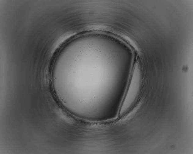 X0000094921117200712131509