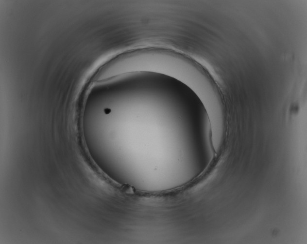 X0000094921118200712131509