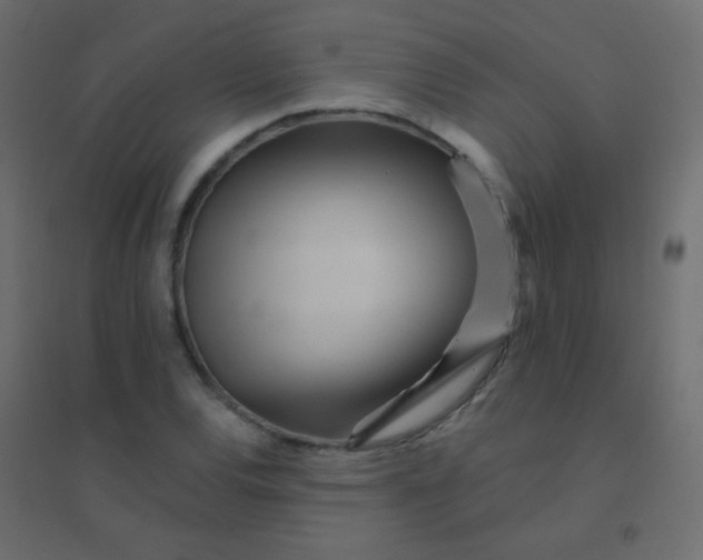 X0000094921120200712131509