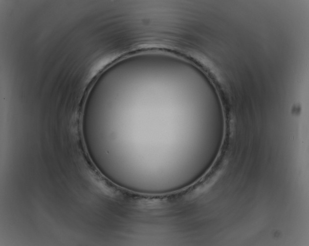 X0000094921121200712131509