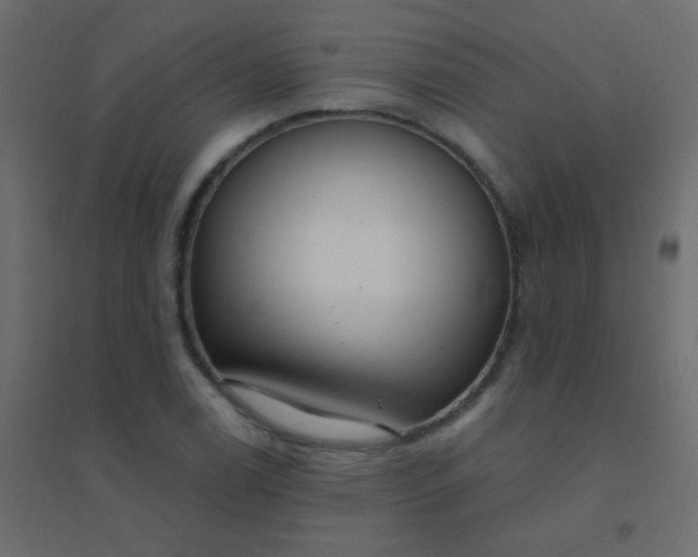 X0000094921122200712131509