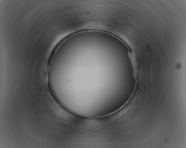 X0000094921123200712131509