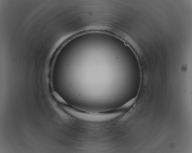 X0000094921124200712131509